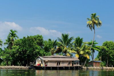 God's Own Country - KERALA (8 Days private trip) - Munnar: the tea-country reset from city noise