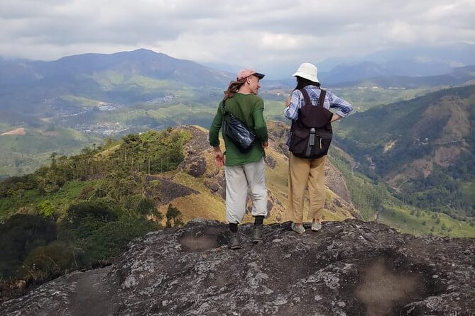 Half Day Hiking in Munnar Trekking Tour - Why this half-day Munnar hike works so well