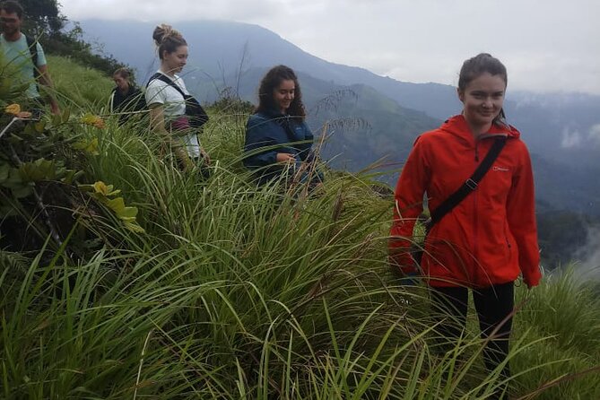 Half Day Hiking in Munnar Trekking Tour - Who this hike suits best in Munnar