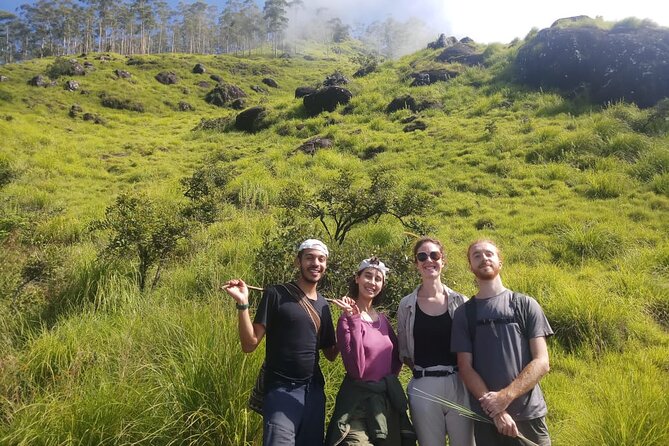 Half Day Hiking in Munnar Trekking Tour - Tea plantation history: why the guide’s role matters