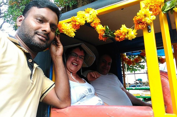 Half-Day Private Tuk Tuk Tour in Fort Kochi - Santa Cruz Cathedral Basilica: impressive without the extra stress
