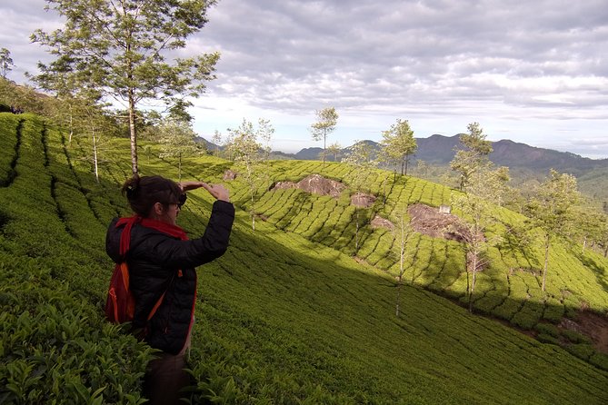 Half day trekking (munnar valley Trekking & Tours ) - Breakfast and snacks: included fuel, not just a token bite