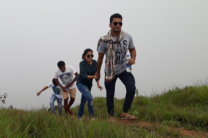 half day trekking - Tea plantations, grassland edges, and why the scenery makes sense