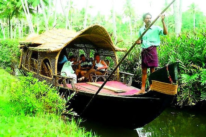 Half Day Village Backwater Eco Country Boat Cruise :Group Tour from Fort Cochin - Why this half-day backwater cruise is such a smart use of time