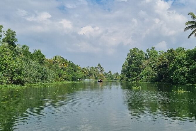 Half Day Village Backwater Eco Country Boat Cruise :Group Tour from Fort Cochin - Vegetarian lunch on a banana leaf: comfort food with Kerala flavor