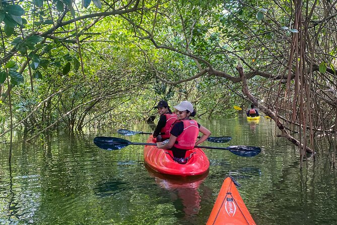 Kayaking in Mangrove Forest of Paravur Backwaters near Varkala and Kollam - Why Paravur Backwaters Feel Different From the Usual Paddle