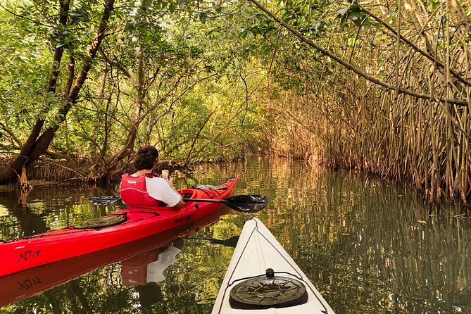 Kayaking in Mangrove Forest of Paravur Backwaters near Varkala and Kollam - Before You Launch: Life Jackets and Paddling Basics