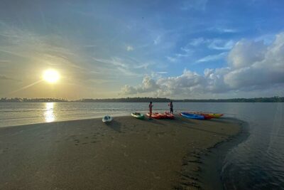 Kayaking in Mangrove Forest of Paravur Backwaters near Varkala and Kollam - Price and Gear: What You’re Actually Paying For