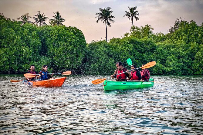 Kayaking in Mangrove Forest of Paravur Backwaters near Varkala and Kollam - The Final Paddle: Heading Home to Syzygy