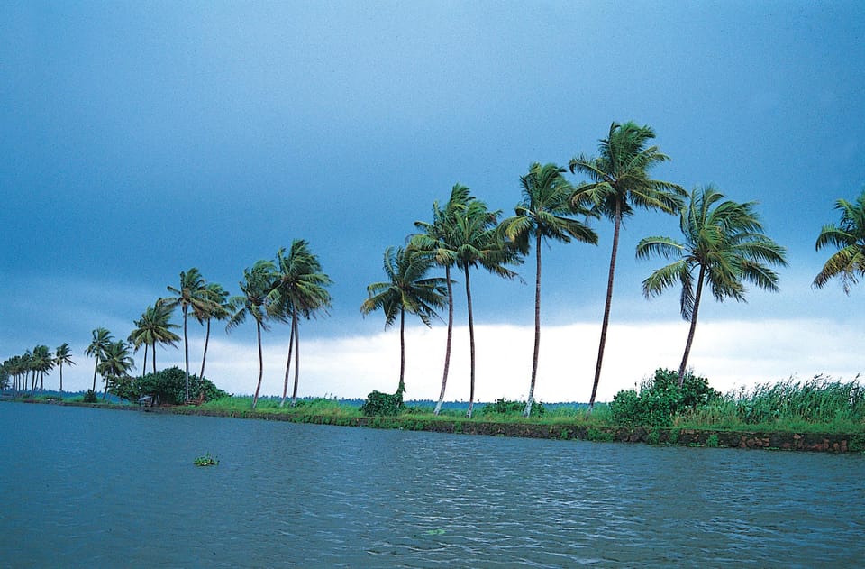 Kerala: Alappuzha River Cruise with Village Walk - Alappuzha Shikara: Why this beats the big-boat version