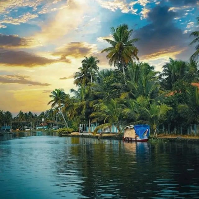 Kochi: Backwater Exploration in Village: Free Pickup & Drop - Practical tips that make the day smoother