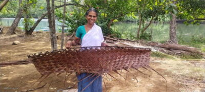 Kochi: Backwater Exploration in Village: Free Pickup & Drop - Bamboo-pole shikara: quiet water and village pace