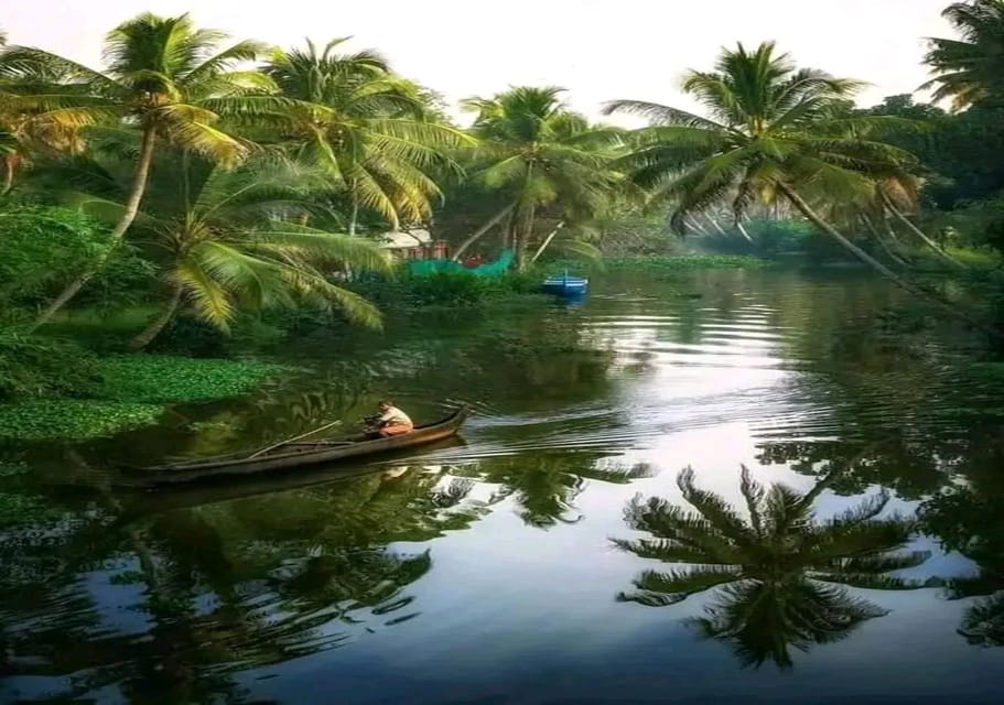 Kochi: Backwater Exploration in Village: Free Pickup & Drop - Kerala Sadya lunch: vegetarian, layered, and worth slowing down for