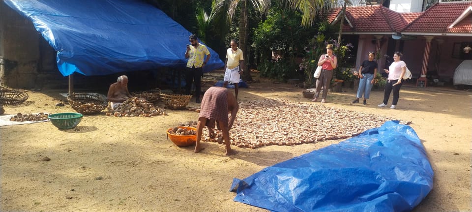 Kochi: Backwater Exploration in Village: Free Pickup & Drop - Price and value: what you’re paying for at around $63