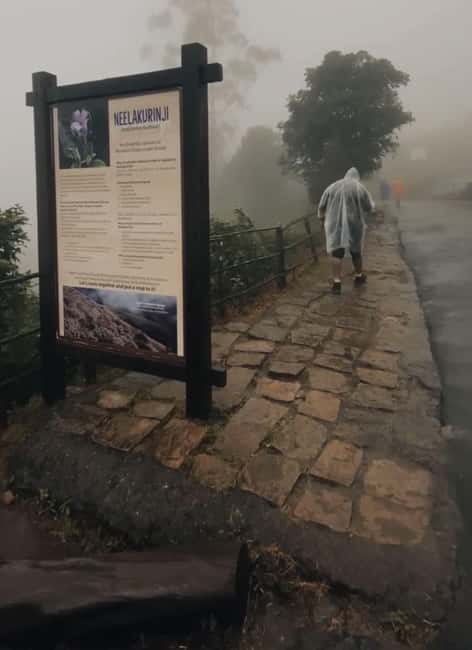 Kochi to Munnar: Eravikulam, lockhart & Waterfalls day tour - Key highlights worth planning around
