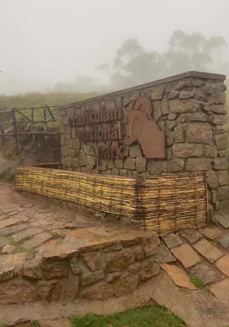 Kochi to Munnar: Eravikulam, lockhart & Waterfalls day tour - Eravikulam National Park trek: where Nilgiri Tahr steals the show