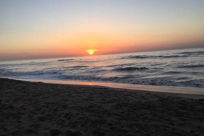 Mahabalipuram Temple and Beach Day Tour from Chennai - Price, Time, and Value for a Private Tour