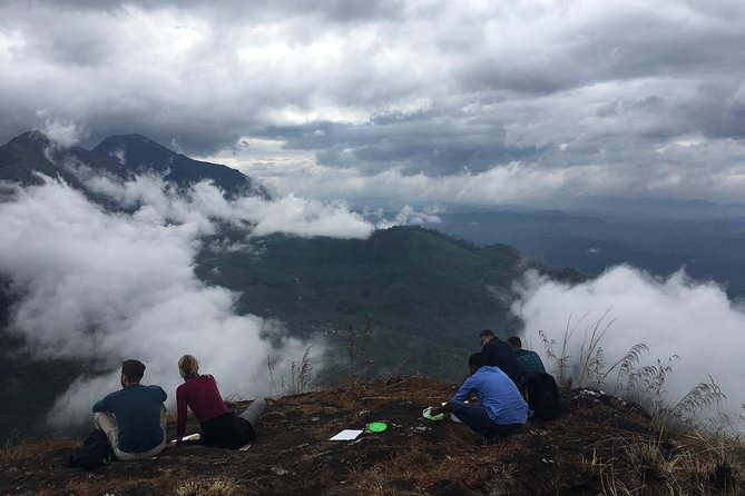 Medium Hard Trekking (munnar valley Trekking & Tours ) - Munnar Tea Plantation Trek in 4 Hours: What You’re Really Getting
