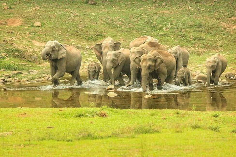 Munnar: Anakulam Jeep Safari with Waterfall and Elephant - Planning Your 7-Hour Munnar Jeep Safari Day
