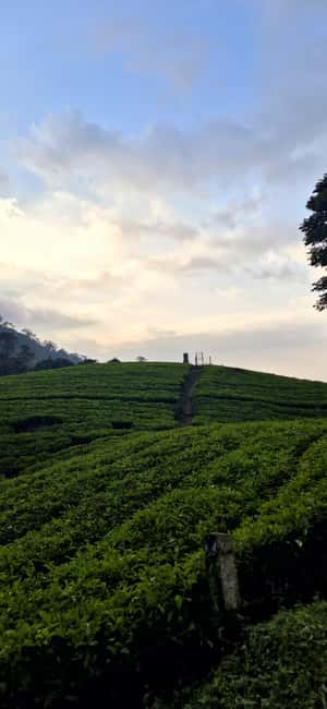 Munnar: Anakulam Jeep Safari with Waterfall and Elephant - Waterfalls Mid-Route: Viriparai, Perumbankuthu, and the Hanging Bridge