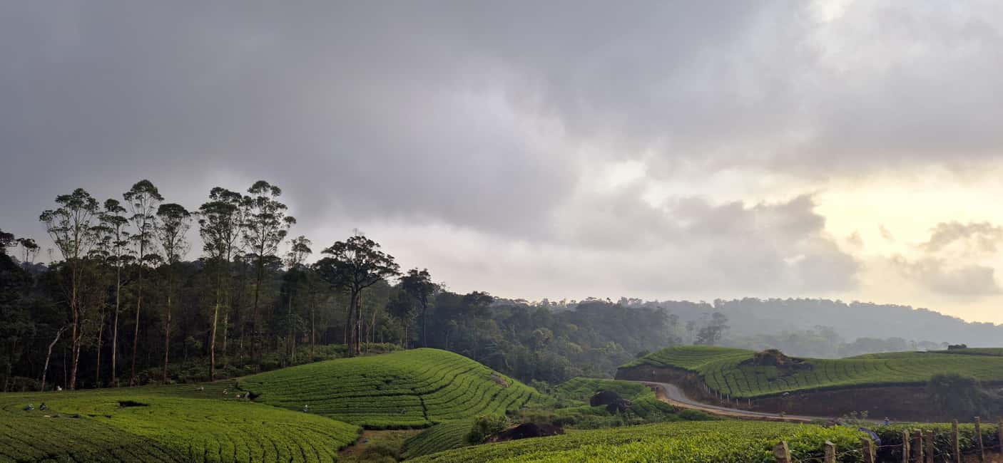 Munnar: Anakulam Jeep Safari with Waterfall and Elephant - Price and Value: What $65 Covers and What Adds Up