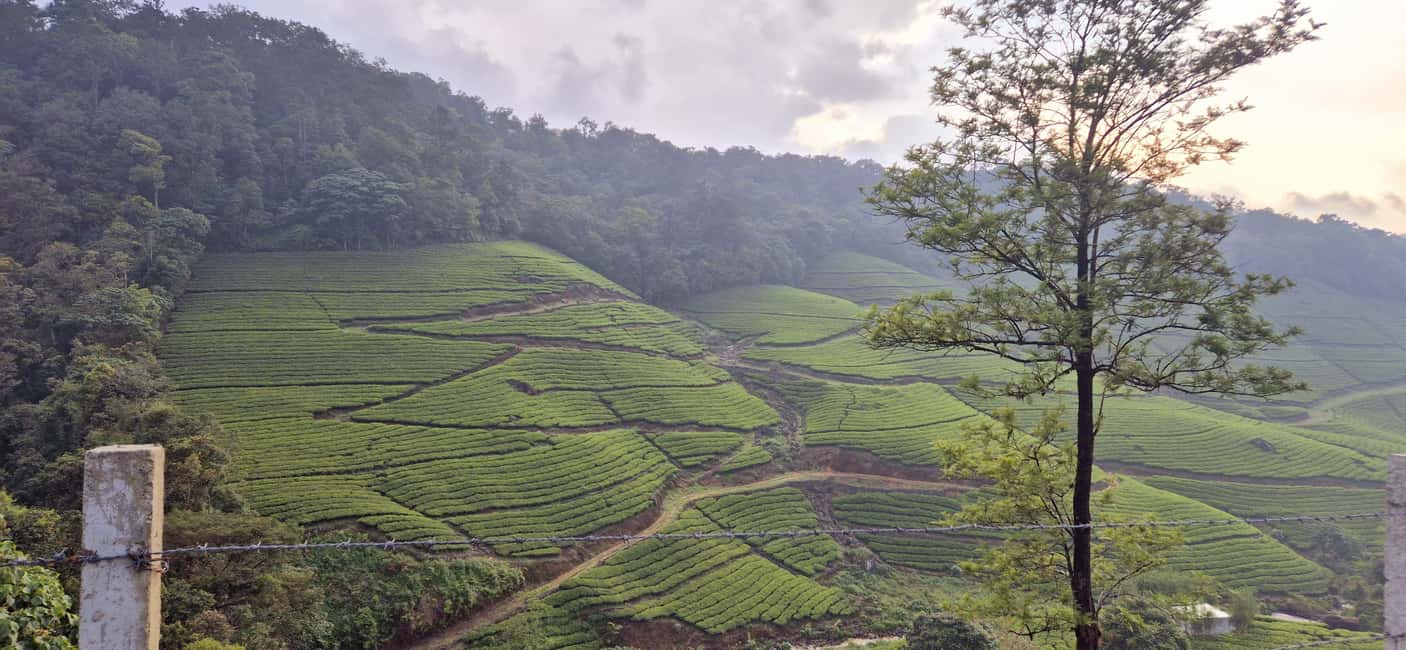 Munnar: Anakulam Jeep Safari with Waterfall and Elephant - Comfort Tips That Make the Whole Day Easier