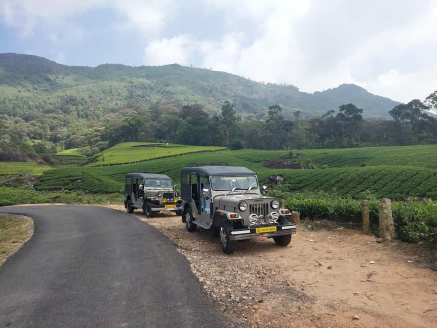 Munnar: Anakulam Jeep Safari with Waterfall and Elephant - Letchmi Tea Estate and a Local Village: Where the Day Gets Human
