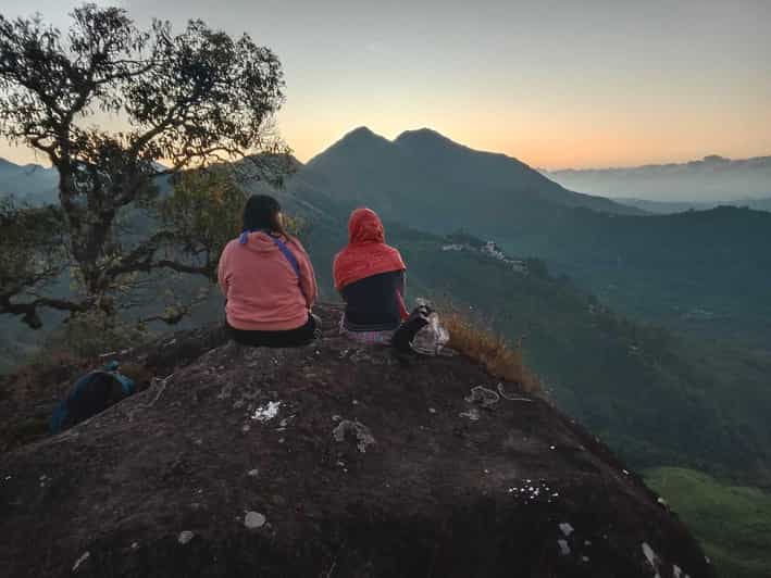 Munnar: Half day Guided Trek - Western Ghats Flora: What Guides Help You See