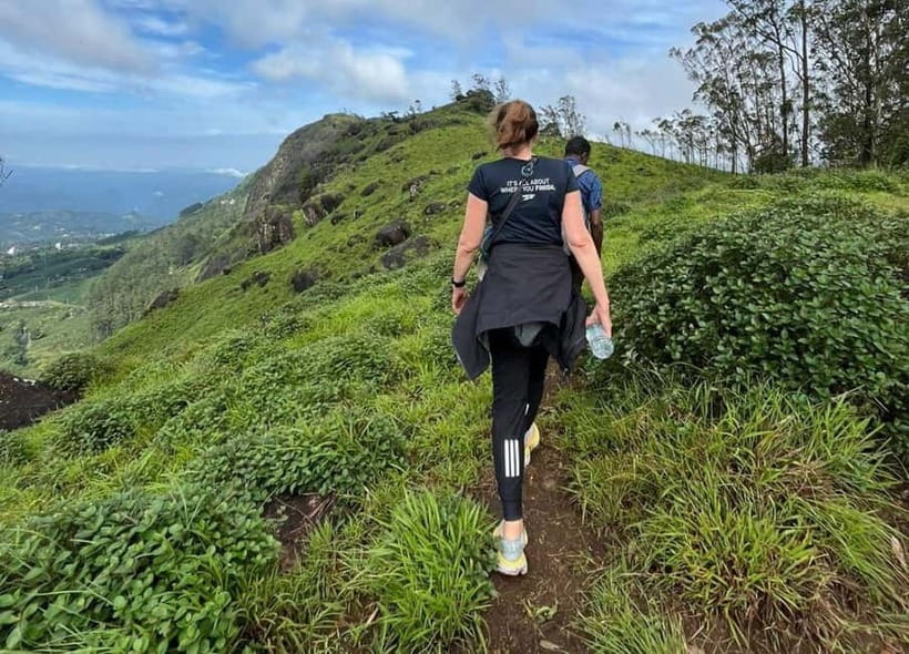 Munnar mountain hiking (Full day) - Cardamom forests and shola woods: where the walk turns into nature time