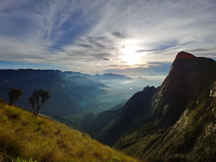 Munnar Private Day Trip - Price and value: is $115 per person fair for a private full day?