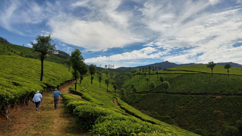 Munnar Private Day Trip - Meeting your Munnar guide: why the names matter