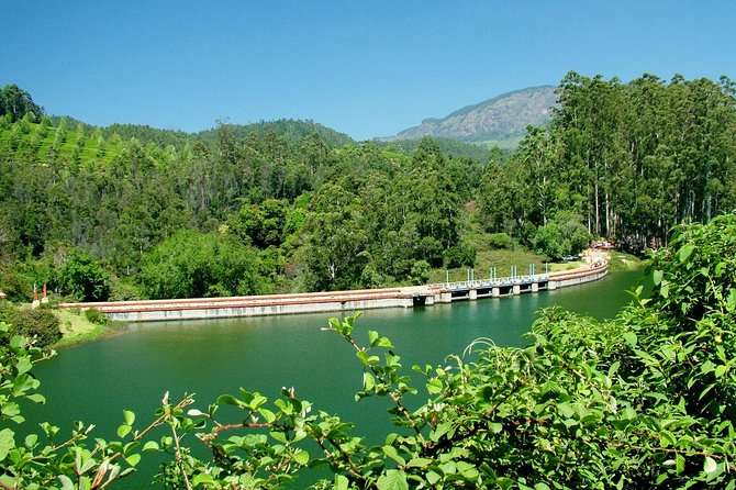 Munnar Site-seeing Tour - Key things I’d plan around