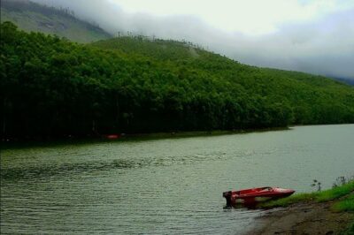 Munnar Site-seeing Tour - Hotel pickup and a private vehicle you can actually use