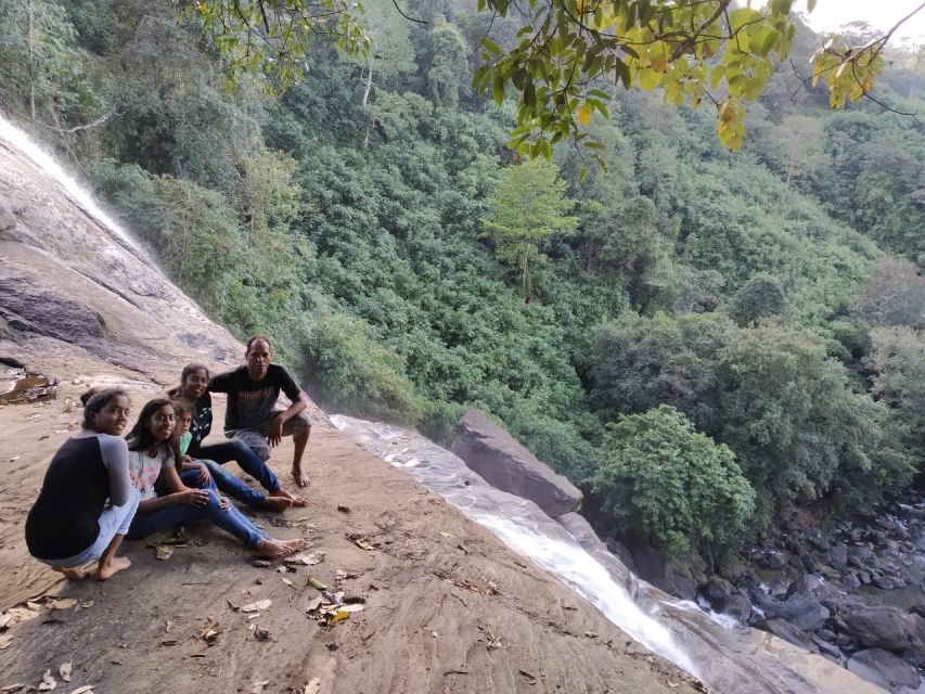 Munnar: Tea Garden and Elephant Safari Trip by 4x4 - The idea: an off-road day built around tea, water, and elephants