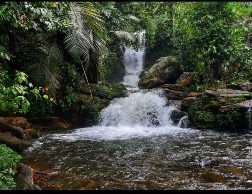 Munnar: Tea Garden and Elephant Safari Trip by 4x4 - Tiger Cave, Mankulam, and the viewpoint carousel
