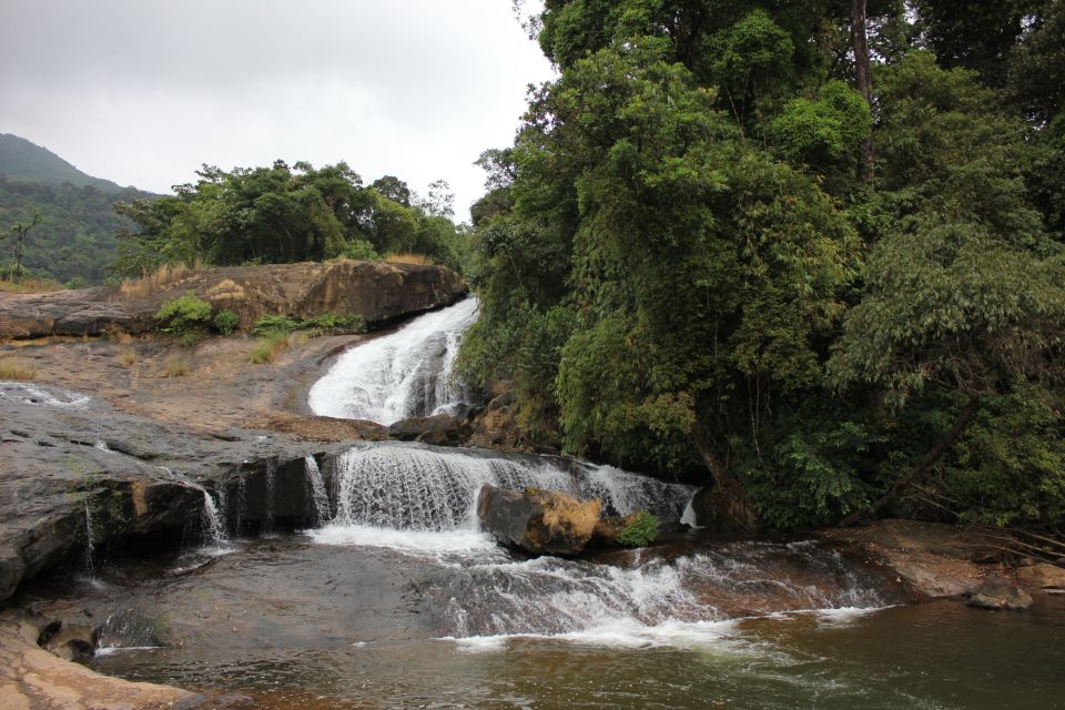 Munnar: Tea Garden and Elephant Safari Trip by 4x4 - Getting started in Munnar: pickup, photo stop, and first tea-country beats