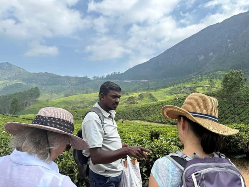 Munnar: Tea trail, Tea Factory, and Tea Tasting Tour - Why This Tea Trail Tour Works Better Than a Photo-Stop