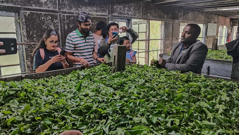 Munnar: Tea trail, Tea Factory, and Tea Tasting Tour - Lockhart Tea Factory & Museum: Watching Orthodox Processing Up Close