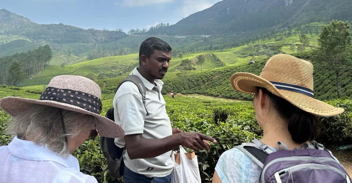 Munnar: Tea trail, Tea Factory, and Tea Tasting Tour - What to Bring (and What to Wear) So You Don’t Spend the Tour Fussing