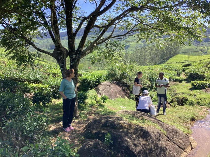 Munnar: Tea trail, Tea Factory, and Tea Tasting Tour - Who Should Book This and Who Should Skip It