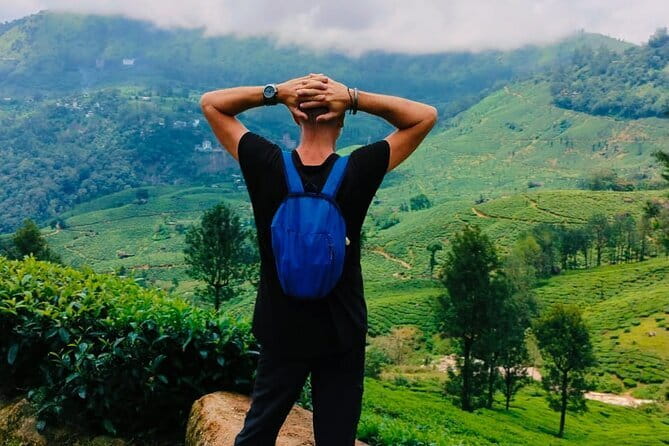 Munnar Tea Trail Tour , Tea factory visit & Tea Tasting - Where the Tour Starts in Munnar (And Why It Matters)