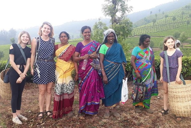 Munnar Tea Trail Tour with Factory Experience ( By Munnar Info) - What to Wear and Bring for This Tea Trail Walk