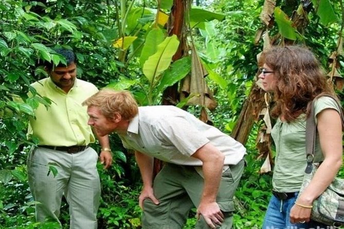 Munnar Tea valley Tour ( By Munnar Info) - Quick hits before you go