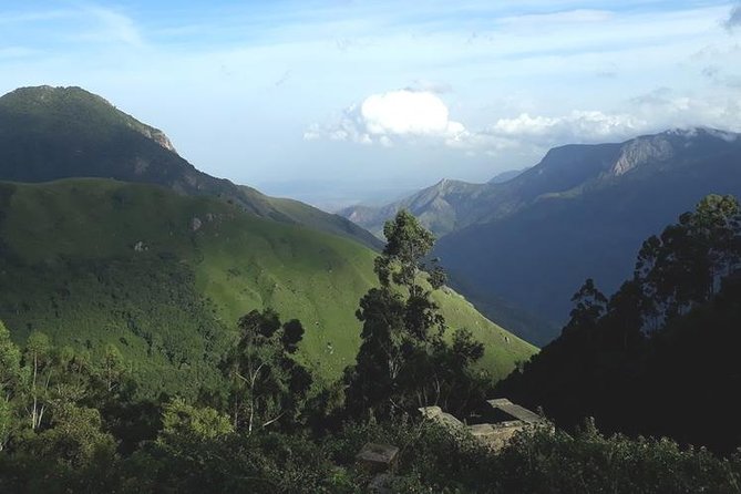 Munnar Tea valley Tour ( By Munnar Info) - How the Munnar Info private taxi tour works (and why it matters)