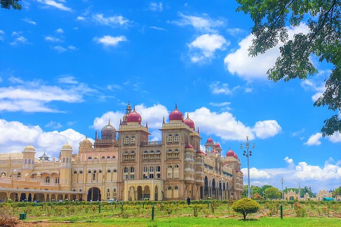 Mysore & Srirangapatna Day Tour from Bengaluru with Guide & Lunch - Devaraja Market: the 18th-century market you can actually use