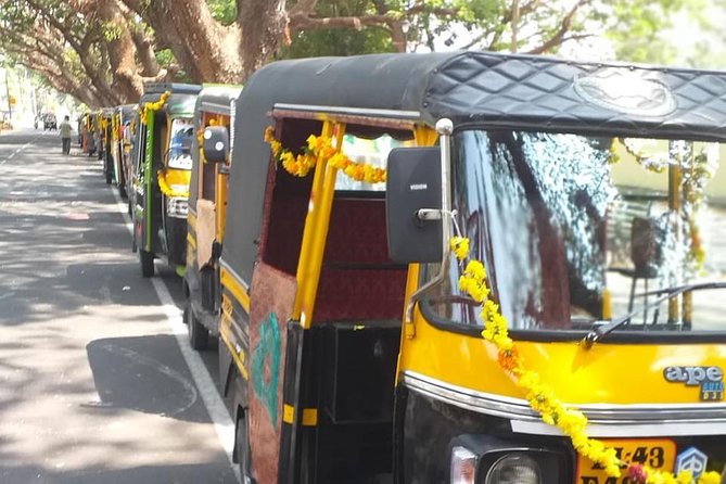 One hour Backwater Tour and tuk tuk tour in kochi with pickup - Chinese Fishing Nets to Santa Cruz Basilica: the Fort Kochi highlights in bite-size stops