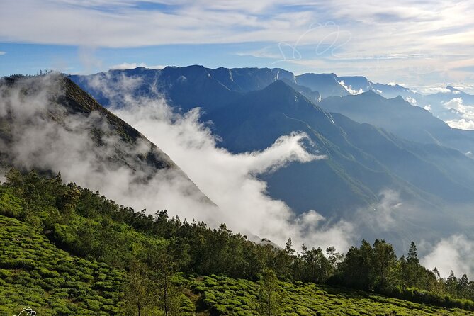 Private Day Trip to Munnar from Kochi (Cochin) - The 4-Hour Western Ghats Drive in a Private AC Vehicle