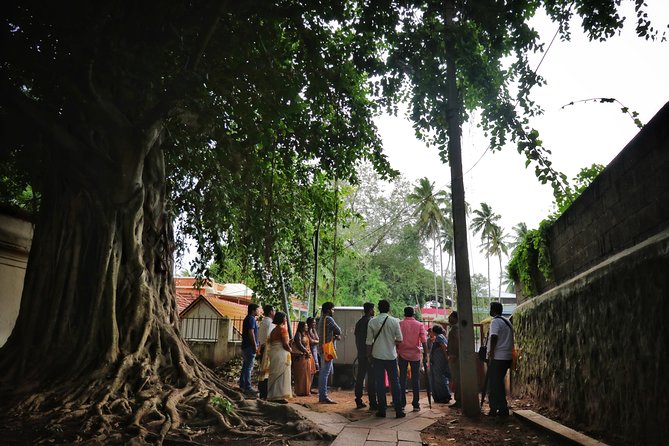 Private Kingdom of Gods Trail Walking Tour - Price and what you actually get for $54