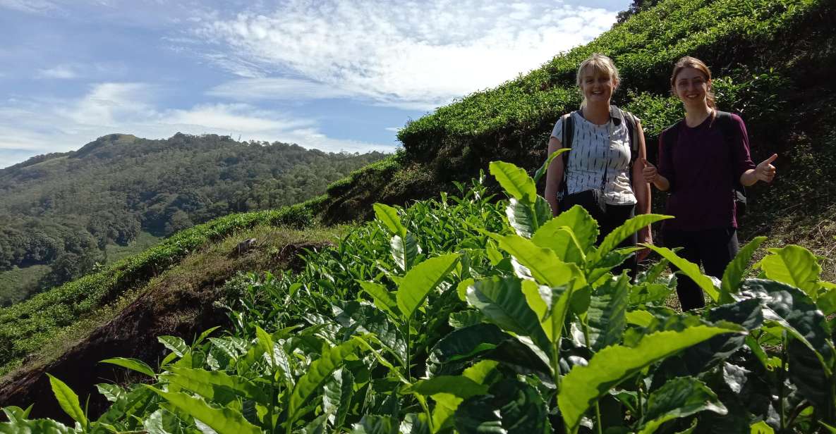 Private Munnar Tea Trek - Key highlights worth your attention