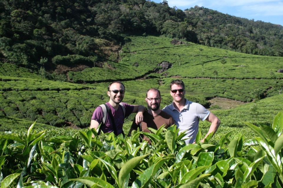 Private Munnar Tea Trek - Walking Into Munnar’s Tea Gardens at an Evening Pace